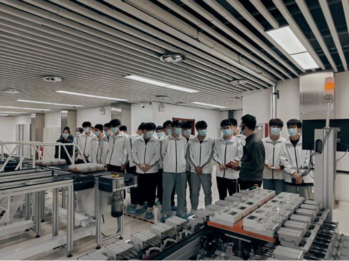 河南網(wǎng)絡(luò)技術(shù)服務(wù)蓬勃發(fā)展，助力數(shù)字強(qiáng)省建設(shè)邁入新階段